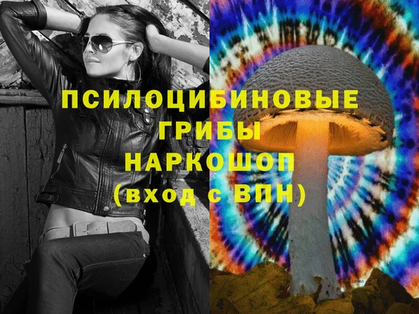ешки Алексин