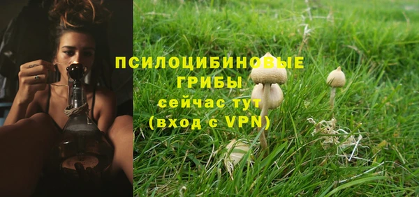 дурь Алексеевка